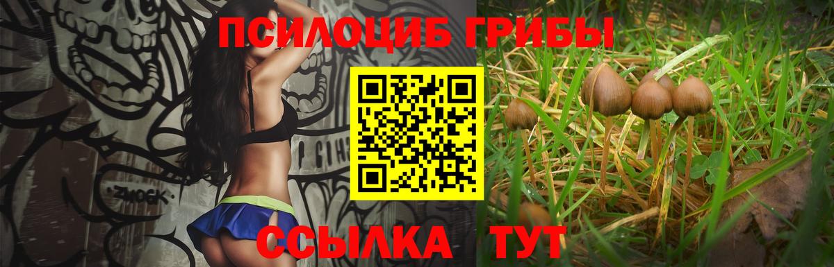 Псилоцибиновые грибы мицелий Владивосток